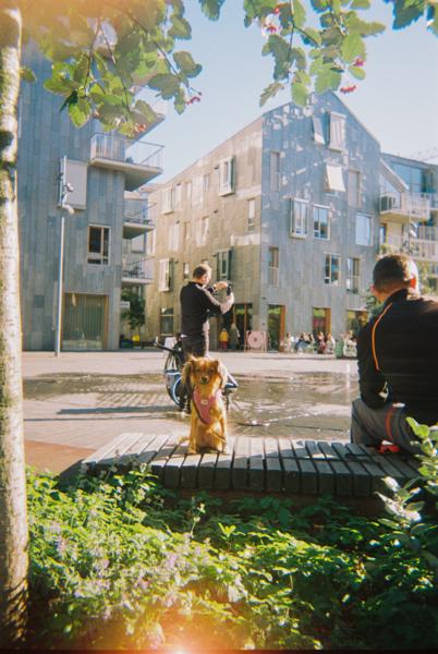 October 2024 - Oslo, Norway