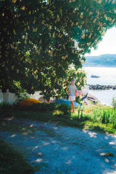 May 2024 - Hvitsen, Norway