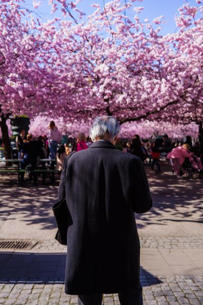 April 2025 - Stockholm, Sweden