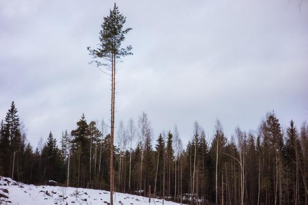February 2022 - Oslo, Norway